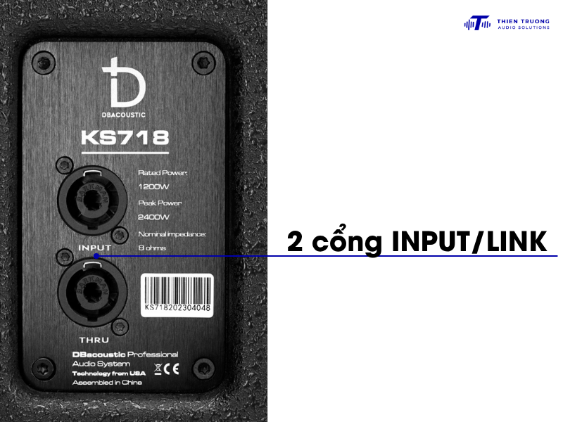 Dbacoustic KS718S có 2 cổng Input phía sau